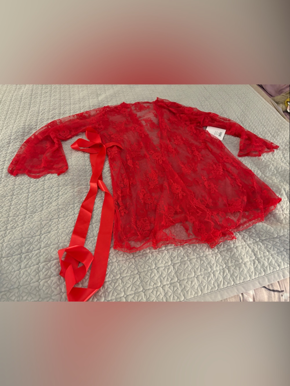 Red Lace Sheer Robe with Satin Tie